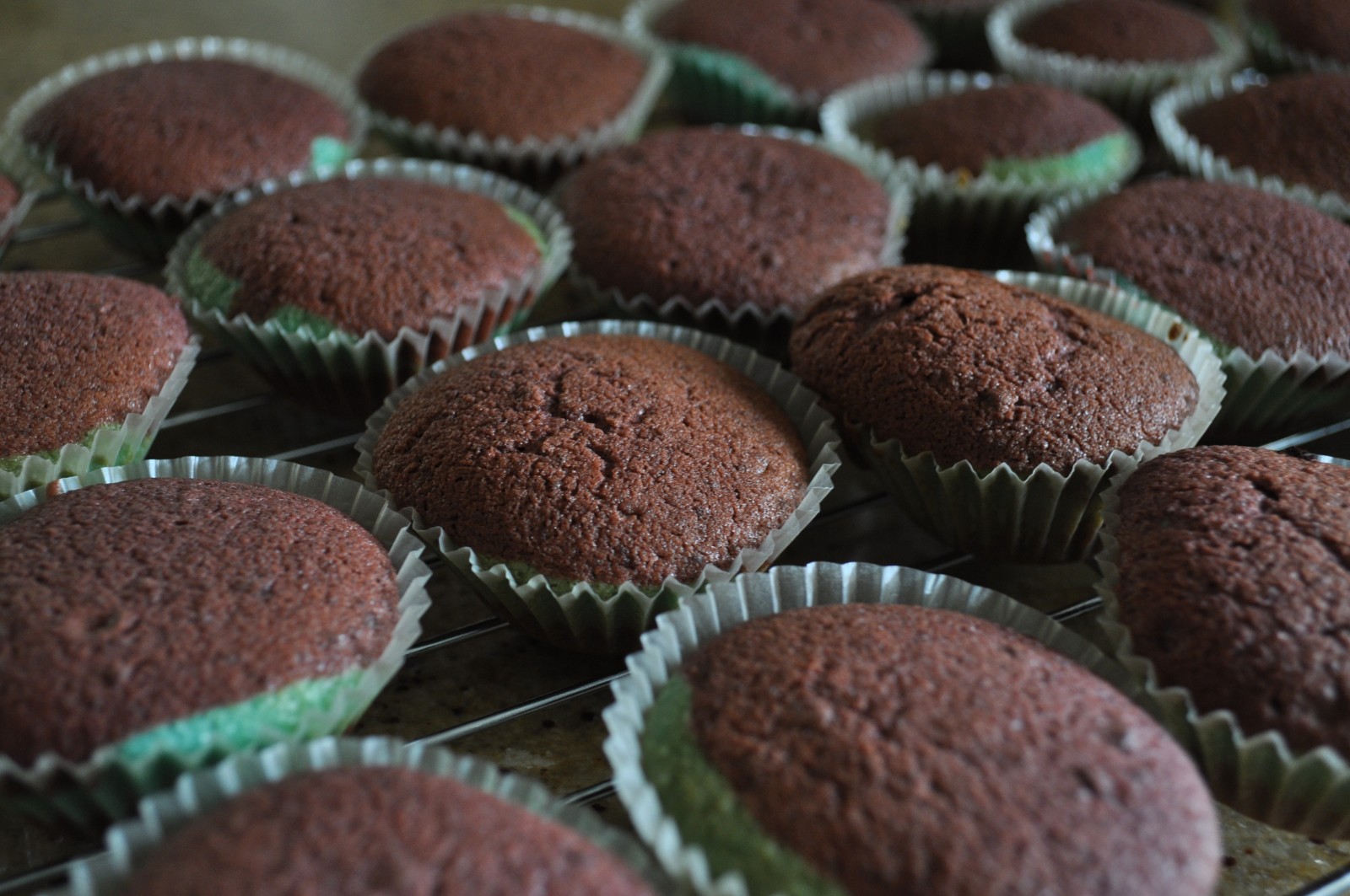 State of Origin twocolour cupcakes Claire K Creations