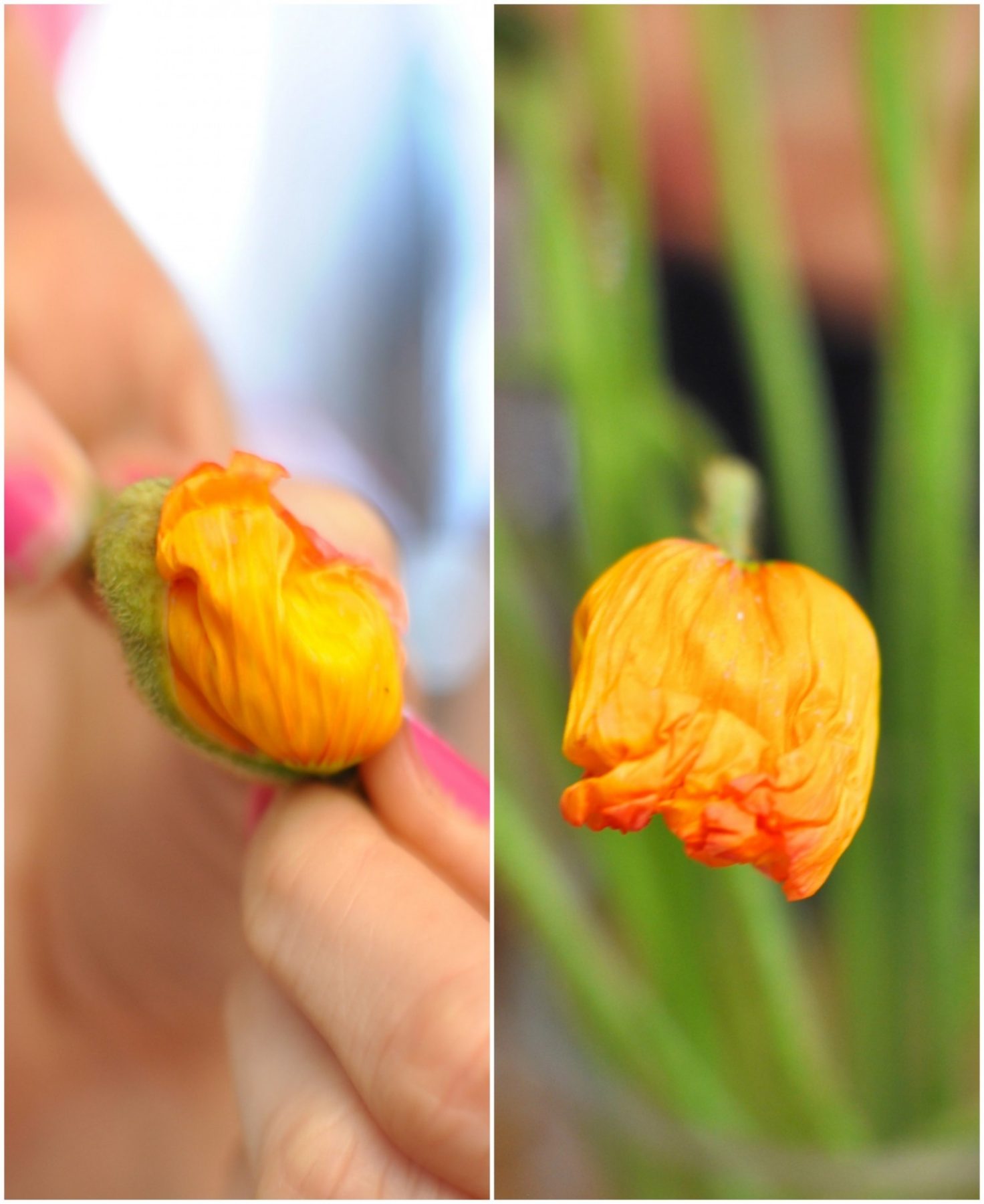 Floristry 101 with Flowers in Hand Claire K Creations