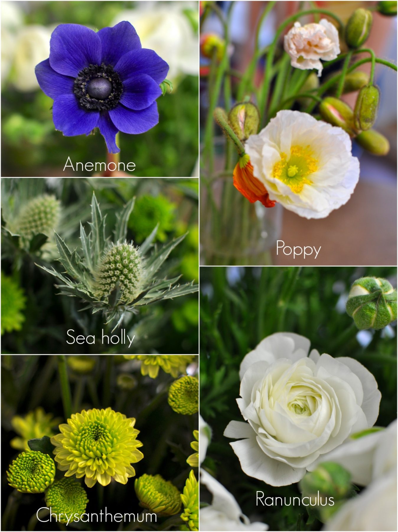 Floristry 101 with Flowers in Hand Claire K Creations