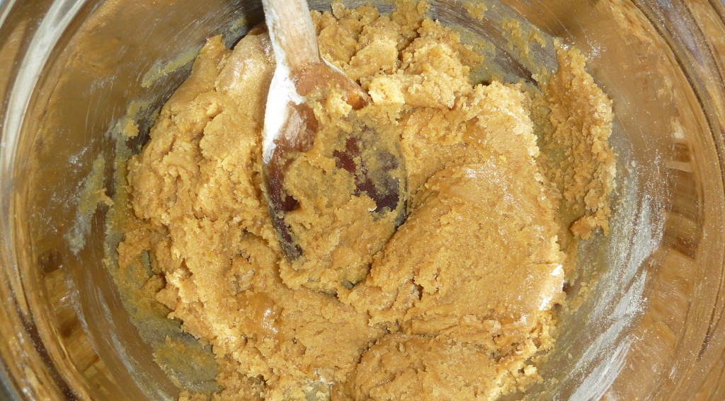 P1020988 Best ever gingerbread dough recipe to roll