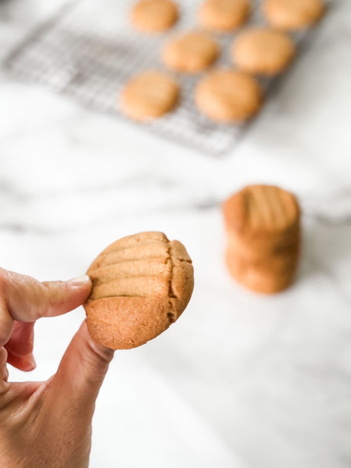 Gingernut biscuits about to be gobbled up