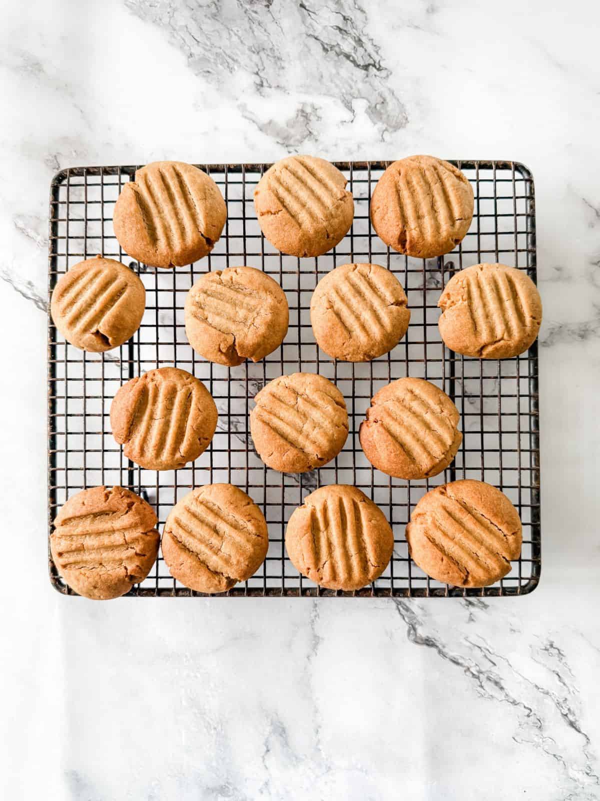 Gingernut biscuits fresh out of the oven on a cooling rack