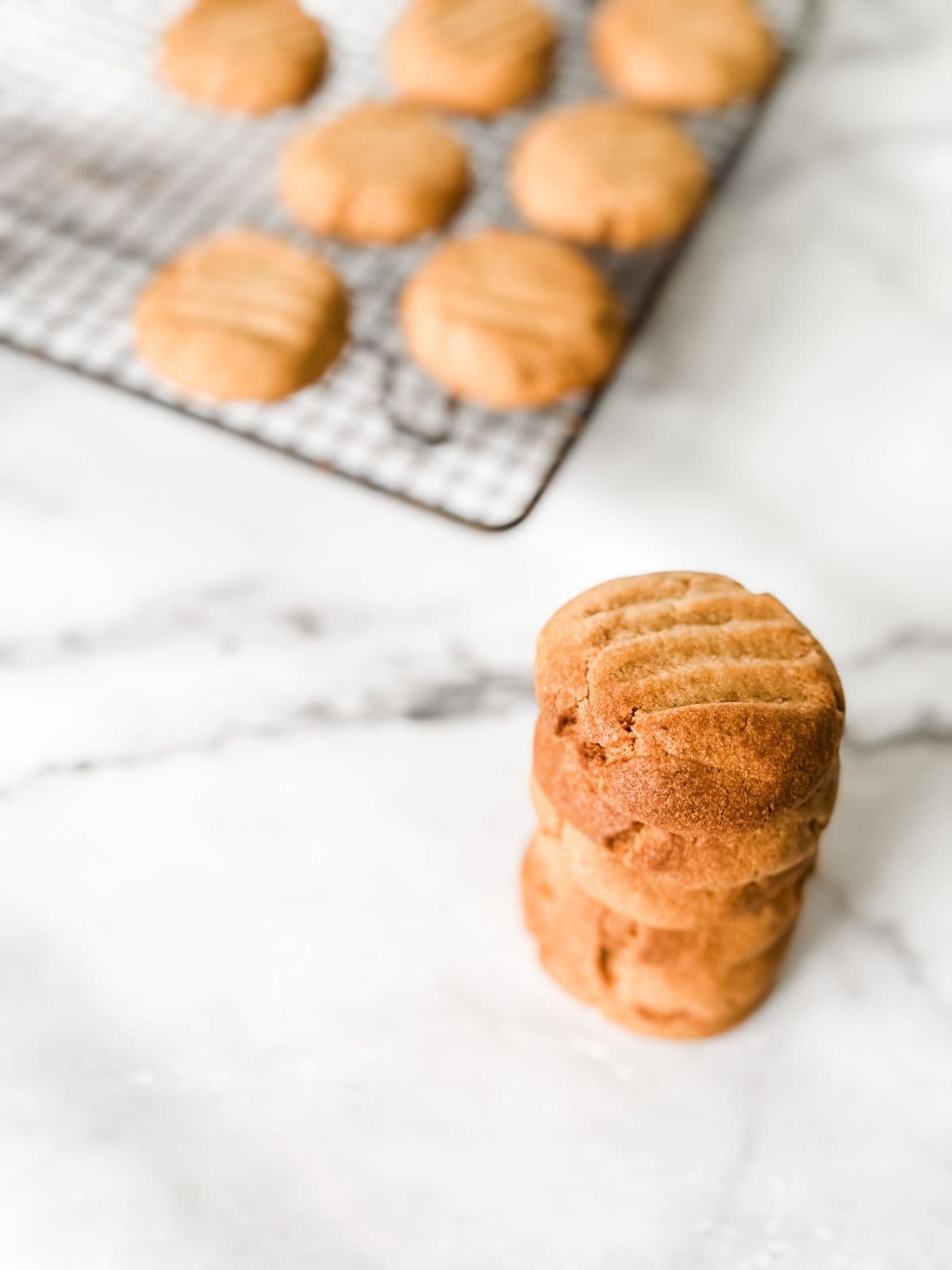 Gingernut biscuits in a stack