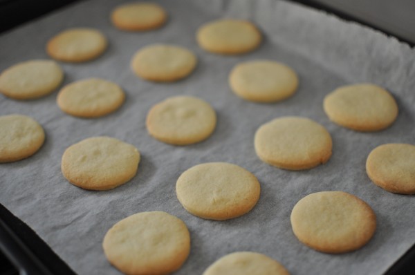Resting the biscuits