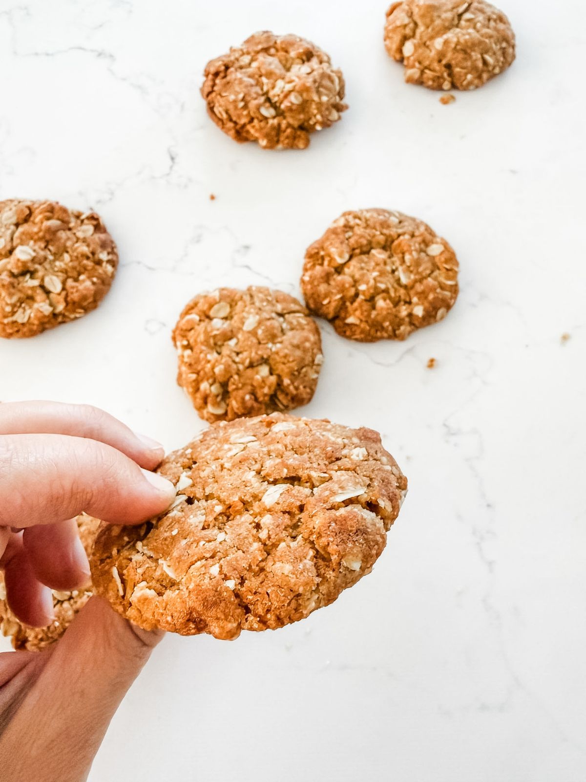 ANZAC Biscuits - hand holding biscuit with oats and more in the background on a white marble bench top.