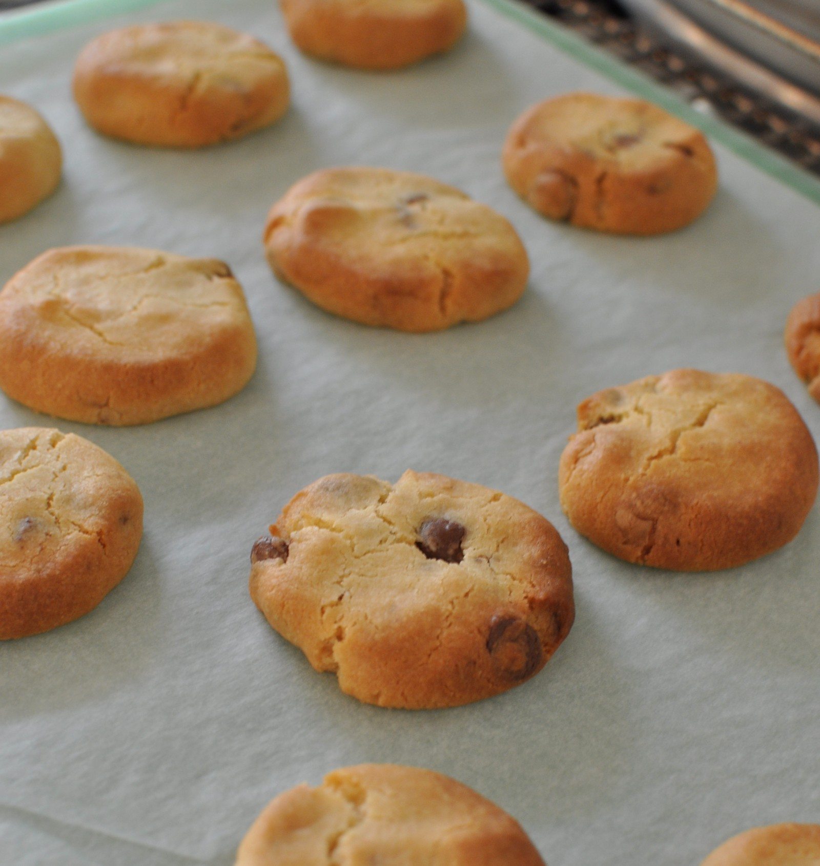 Sante biscuits New Zealand's chocolate chip biccie Claire K Creations
