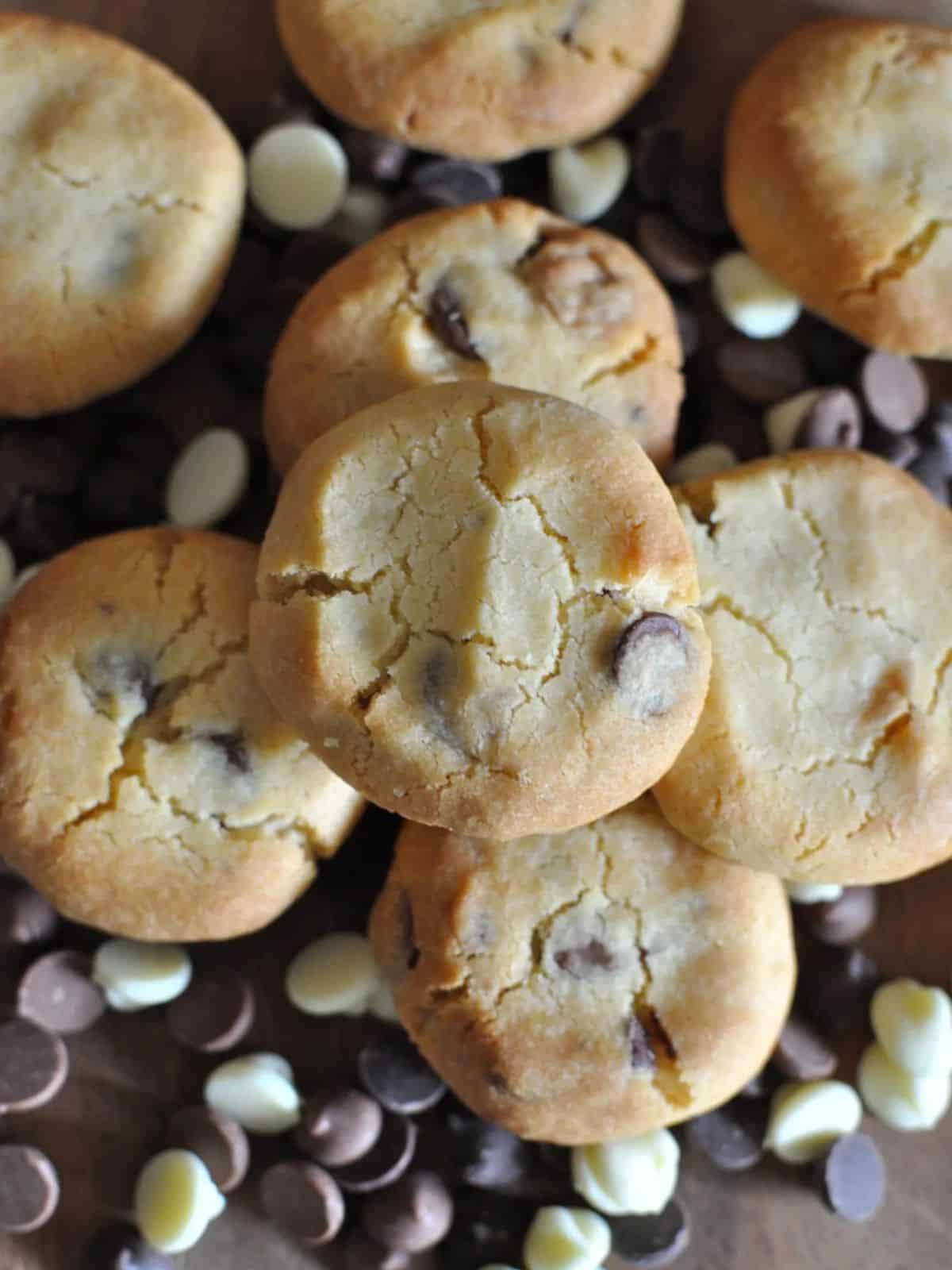 New Zealand Sante biscuits - chocolate chip cookies on bed of chocolate chips