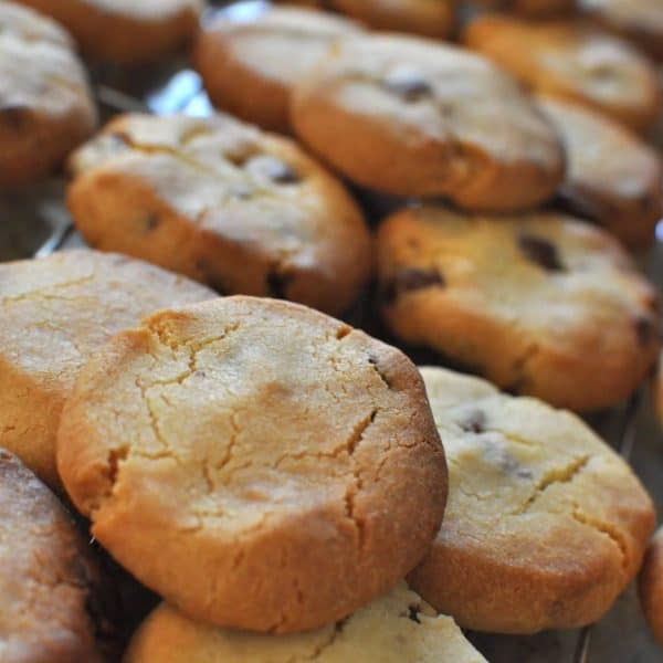 Freshly baked Edmonds chocolate chip cookies on a cooling rack