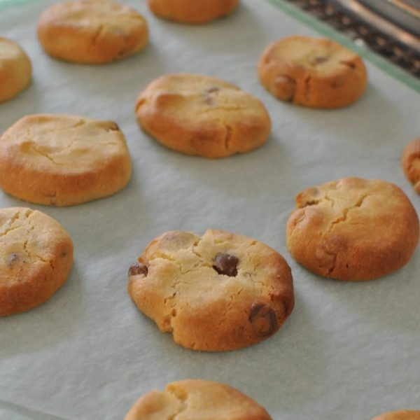 Sante biscuits fresh out of the oven
