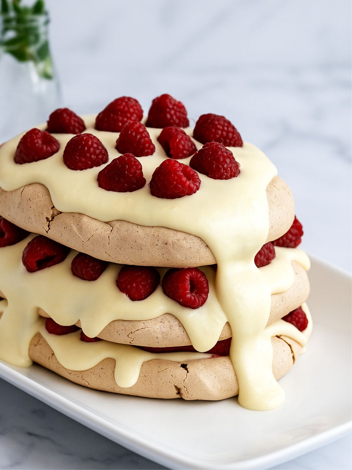 3 layers of oval shaped chocolate meringue sandwiched with cream and raspberries. 