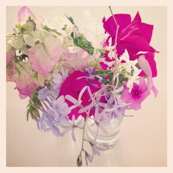 'Free flowers'