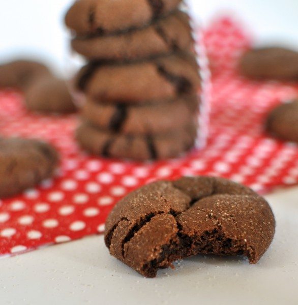 Mexican chocolate snickerdoodles