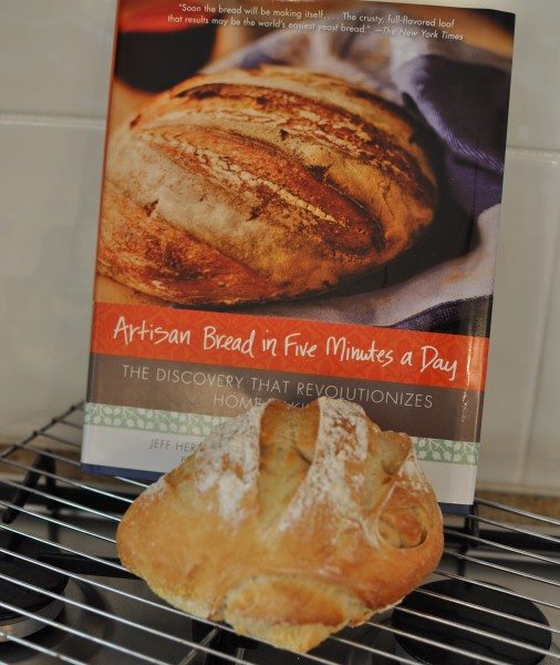 Artisan bread in 5 minutes a day