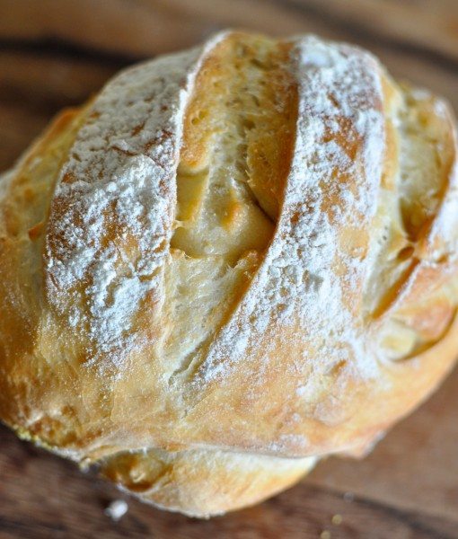 Artisan bread in 5 minutes a day