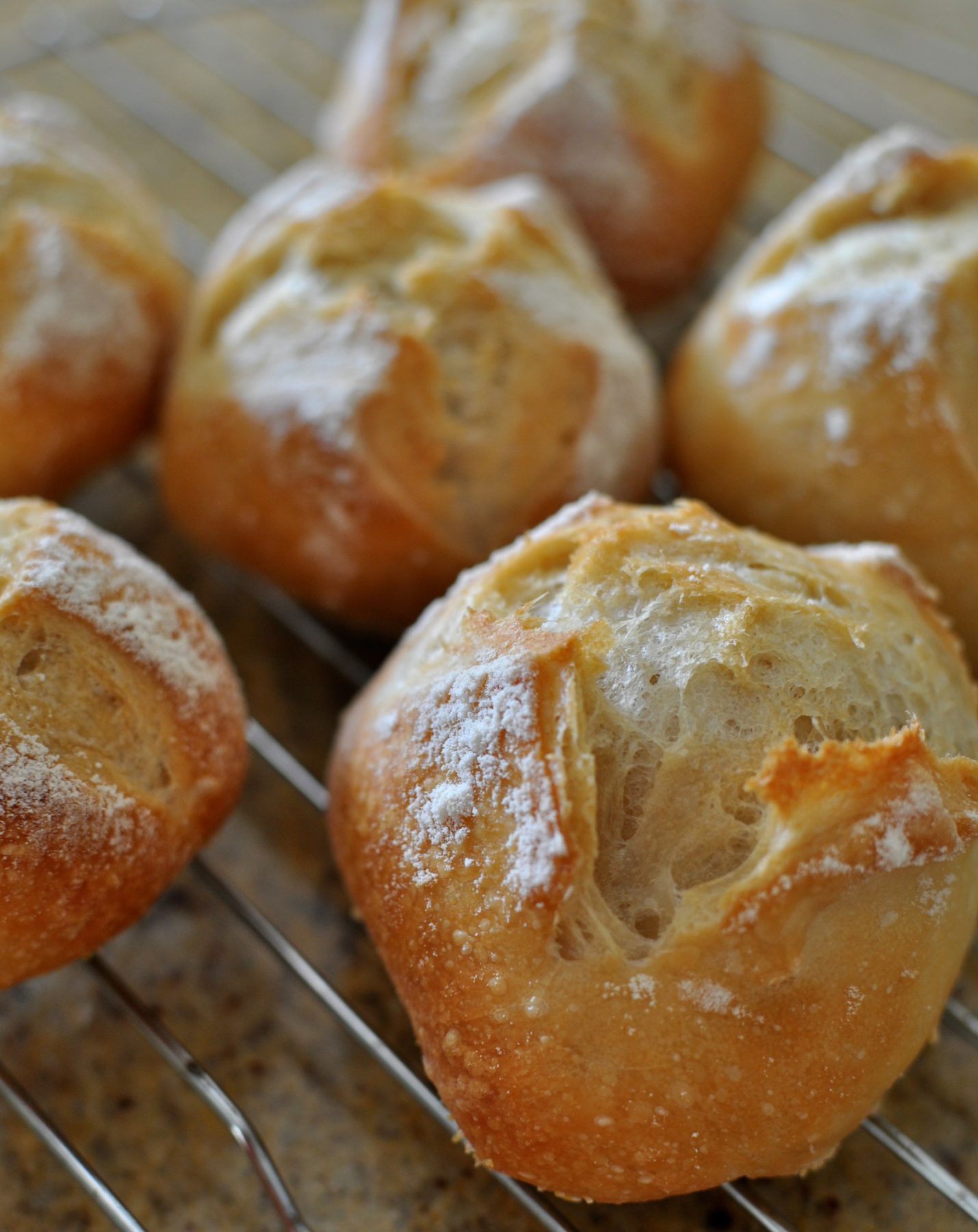 Artisan Bread In 5 Minutes