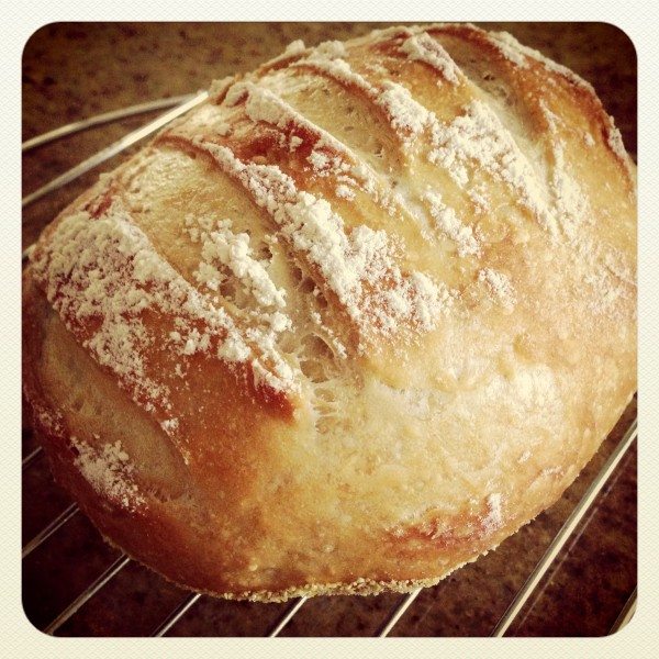 Artisan bread in 5 minutes a day