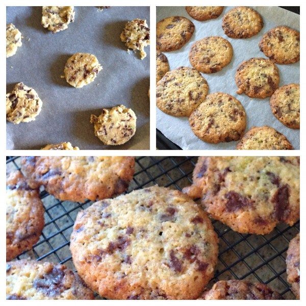 From dough to biscuit