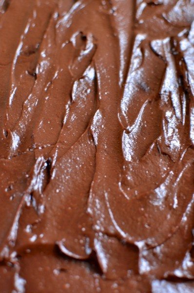 Rich chocolate paleo vegan icing