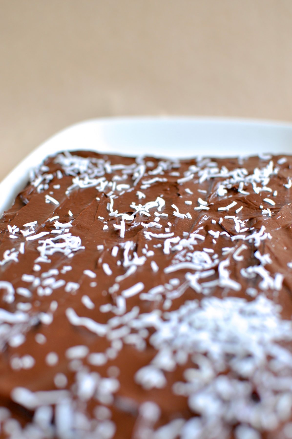 Paleo chocolate coconut slice