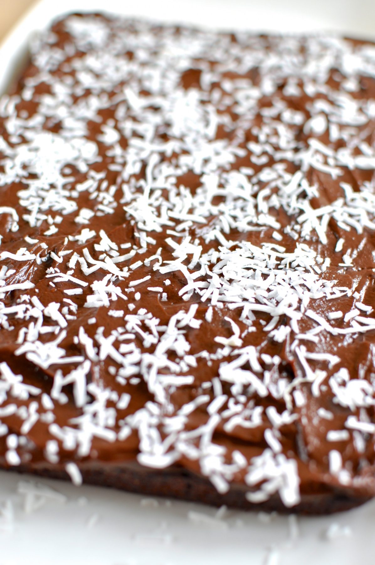 Paleo chocolate coconut slice