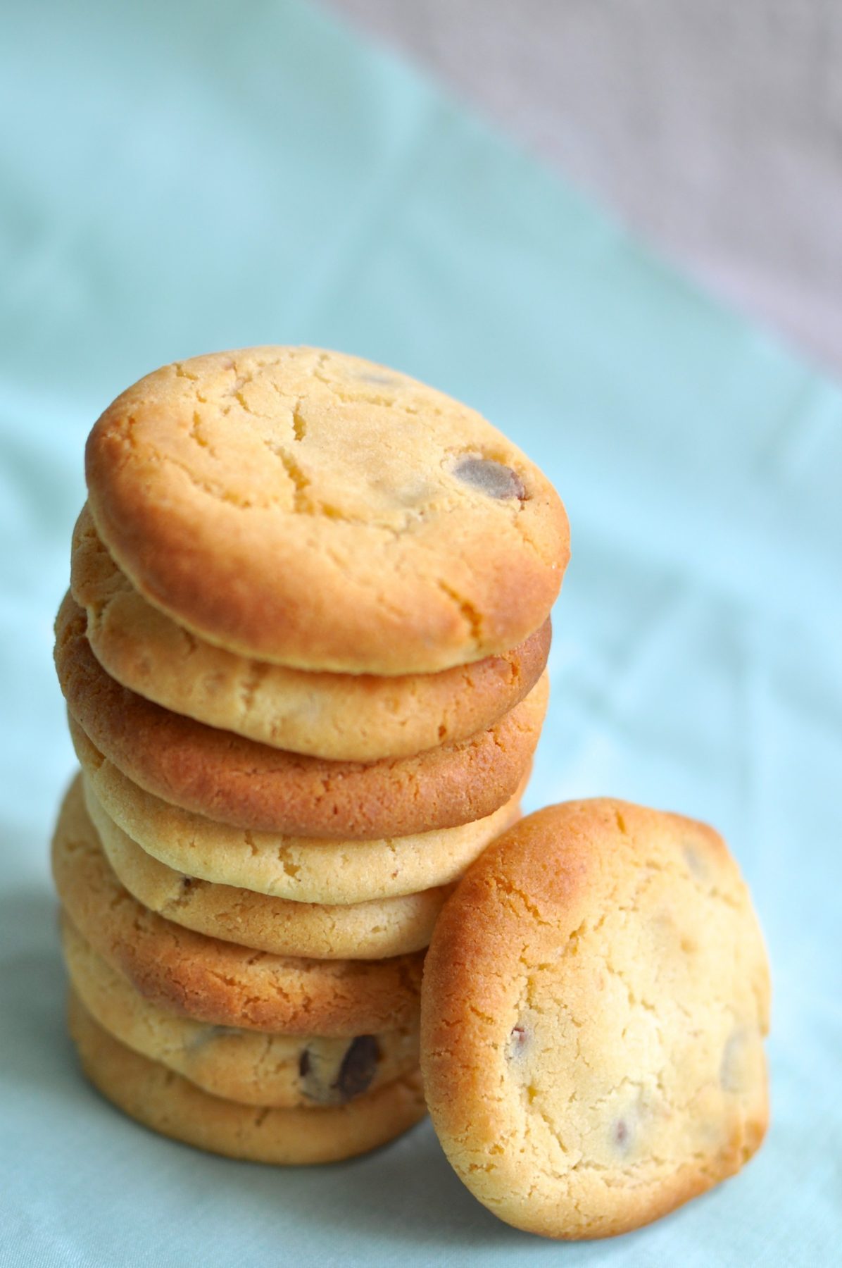 Condensed milk chocolate chip biscuits with macadamia nuts Claire K