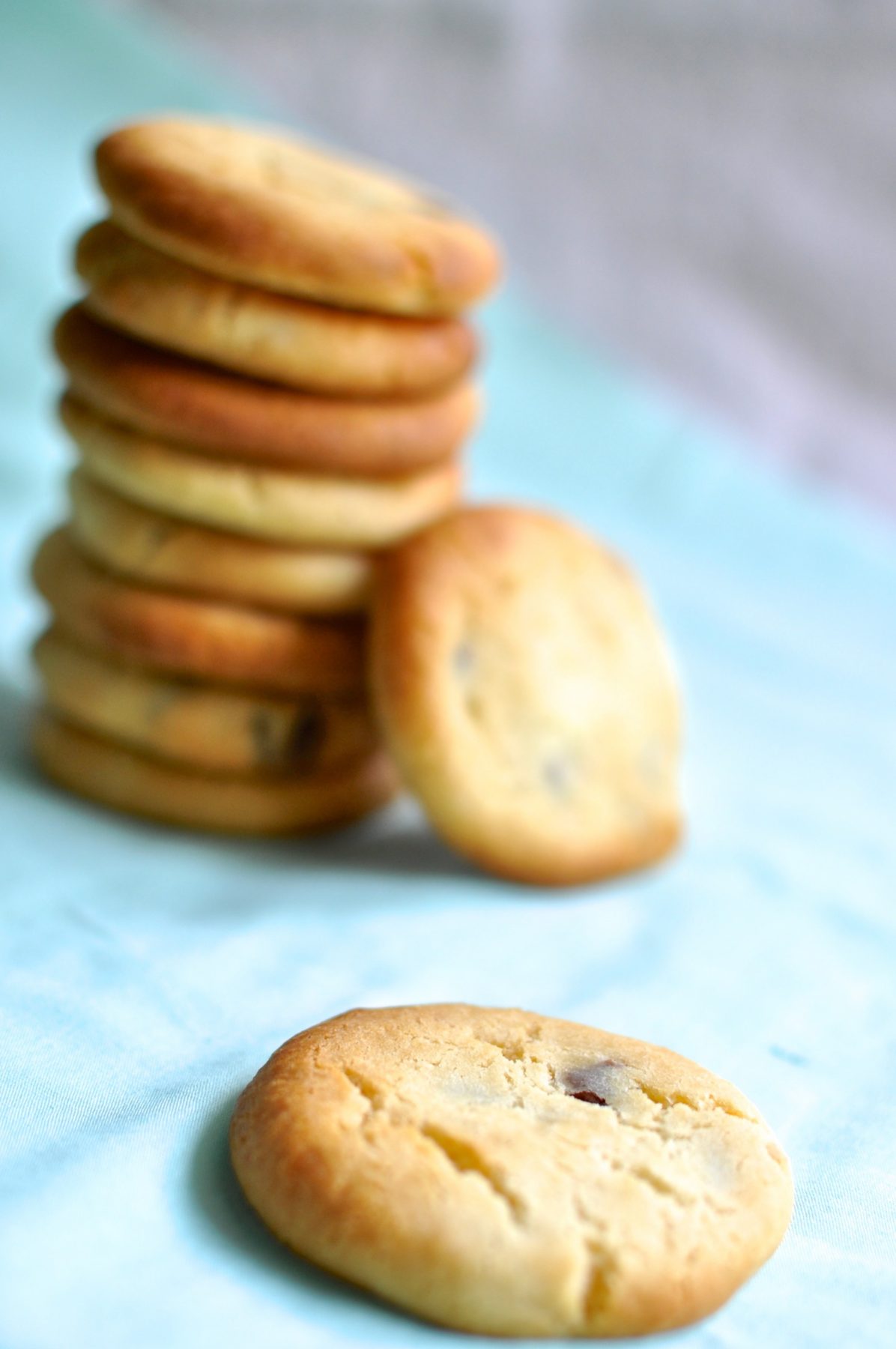 Condensed milk chocolate chip biscuits with macadamia nuts Claire K