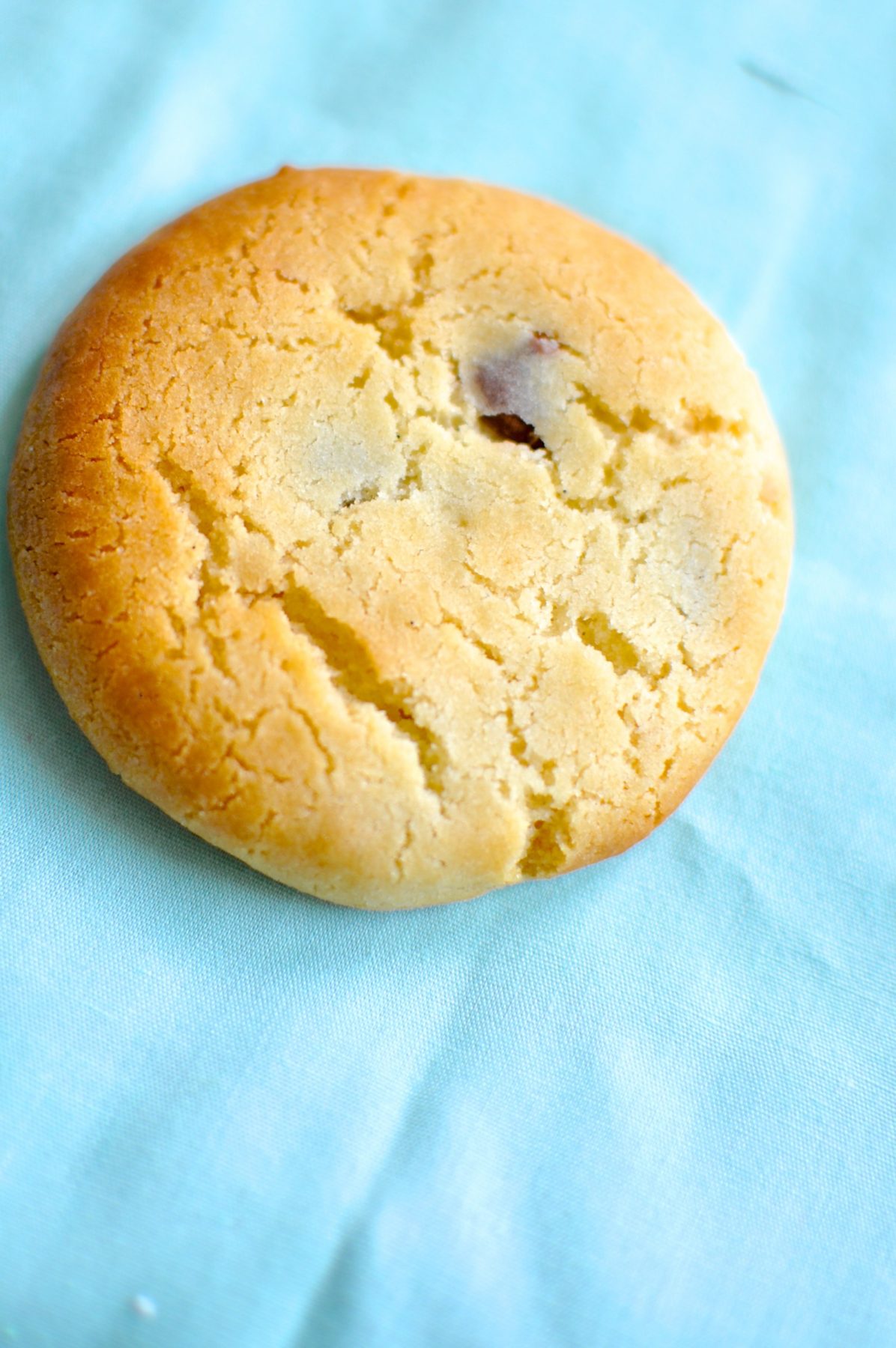 Condensed milk chocolate chip biscuits with macadamia nuts Claire K