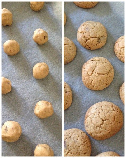 Baking the biscuits