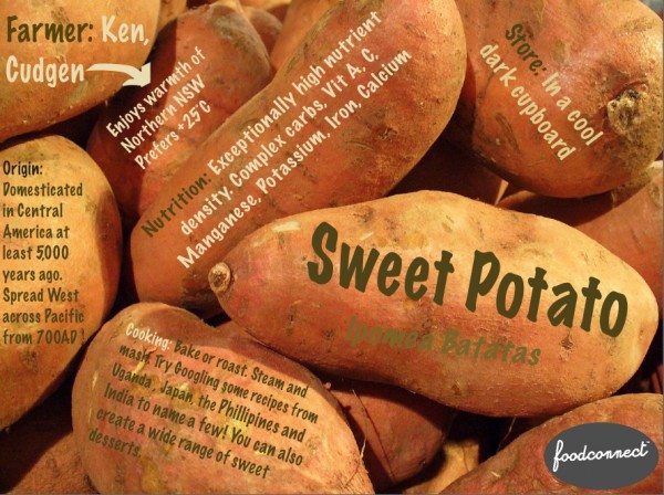 Vegan sweet potato bake by The Natural Foodie - Claire K Creations