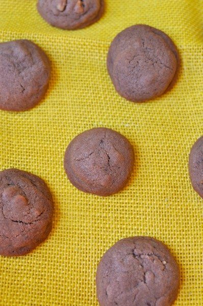 Double chocolate walnut biscuits