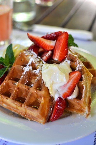 Special - Waffles with strawberries and Barambah yoghurt