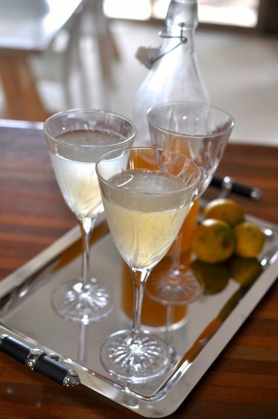 Lemon cordial