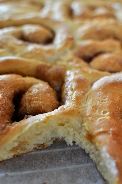 Cinnamon scrolls