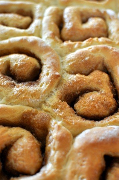 Cinnamon scrolls