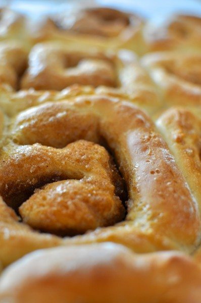 Cinnamon scrolls