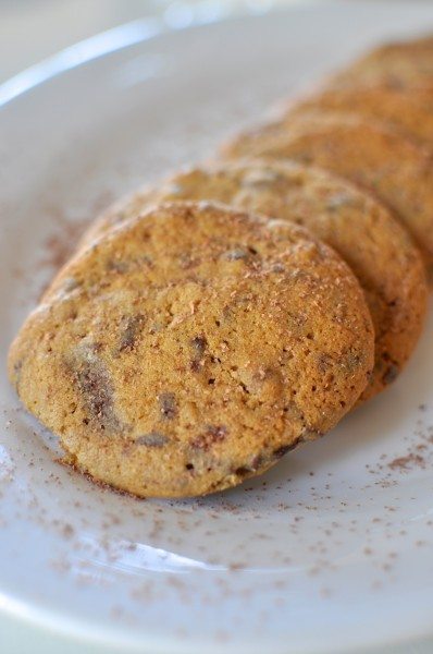 Chocolate chunk biscuits