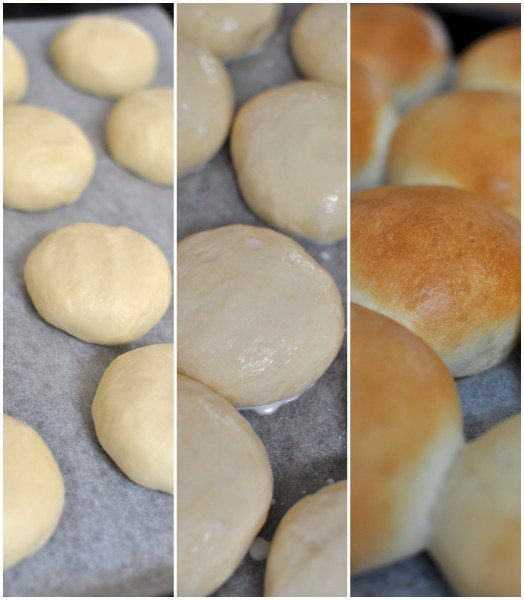 Hamburger buns
