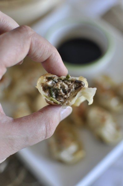 Pork and shiitake dumplings