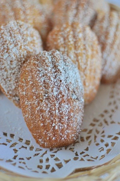 Passionfruit Madeleines