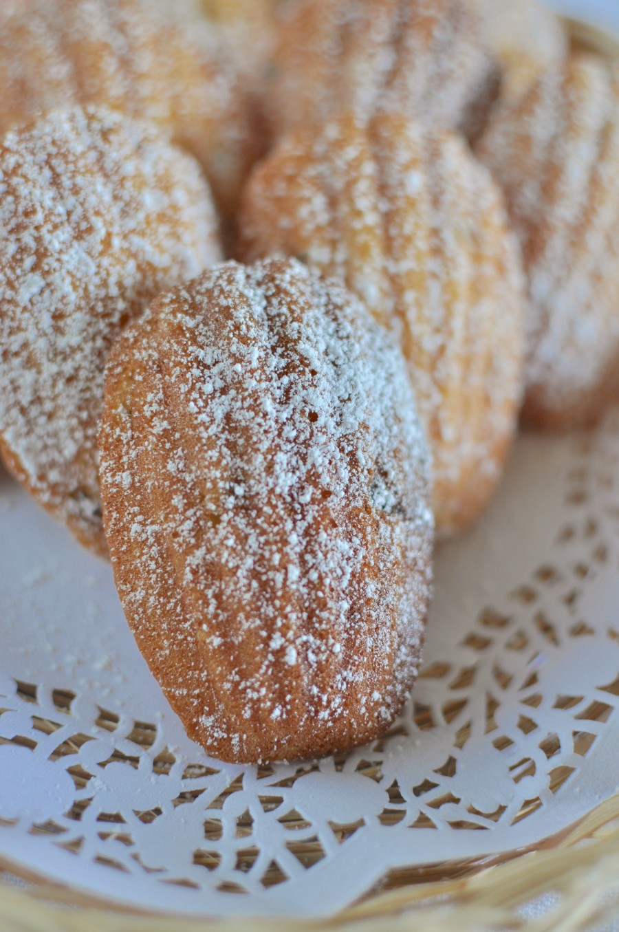 Passionfruit Madeleines Claire K Creations