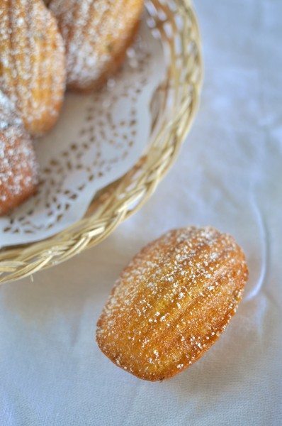 Passionfruit Madeleines