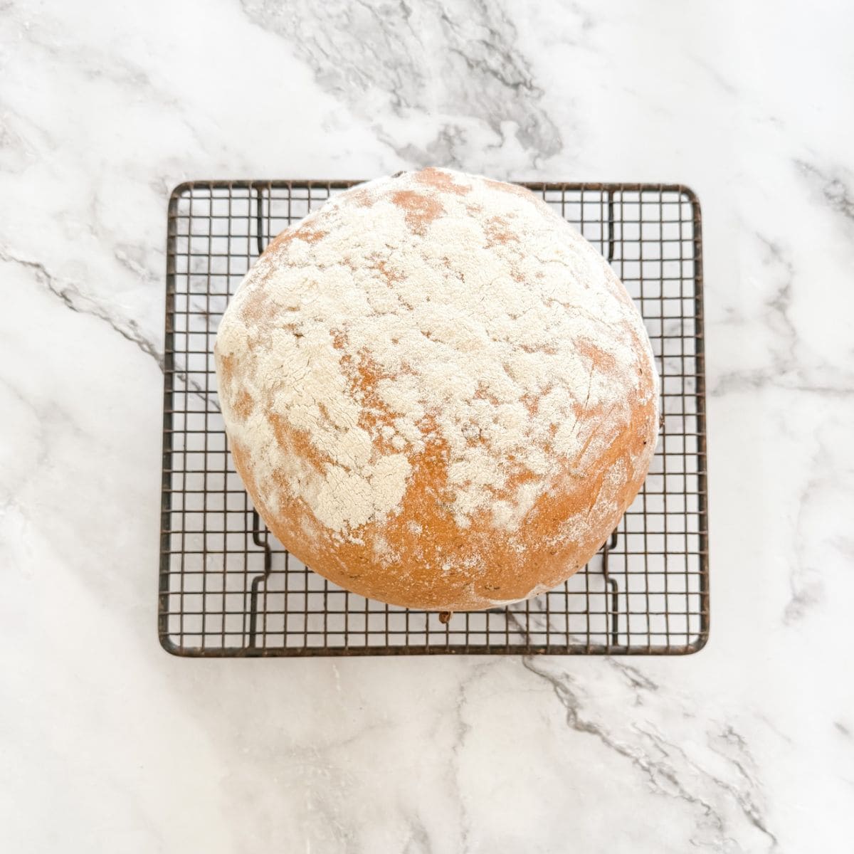 Freshly baked olive bread coated in flour cooling on a wire rack.