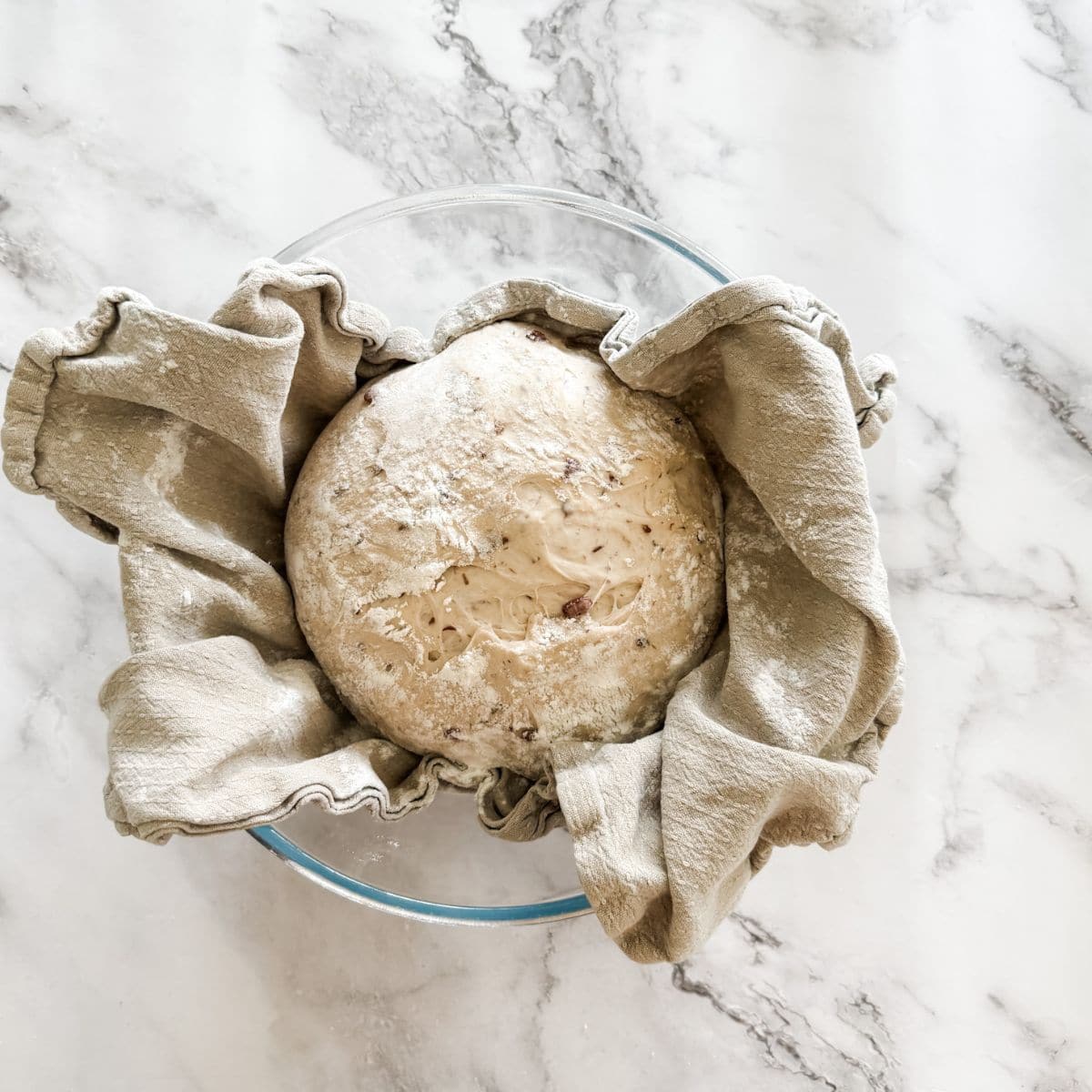 Olive bread dough ball risen in a tea-towel lined glass bowl