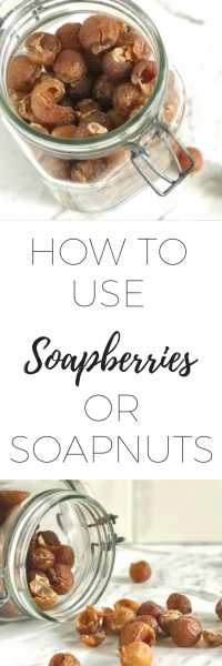 How to use soapberries or sopanuts