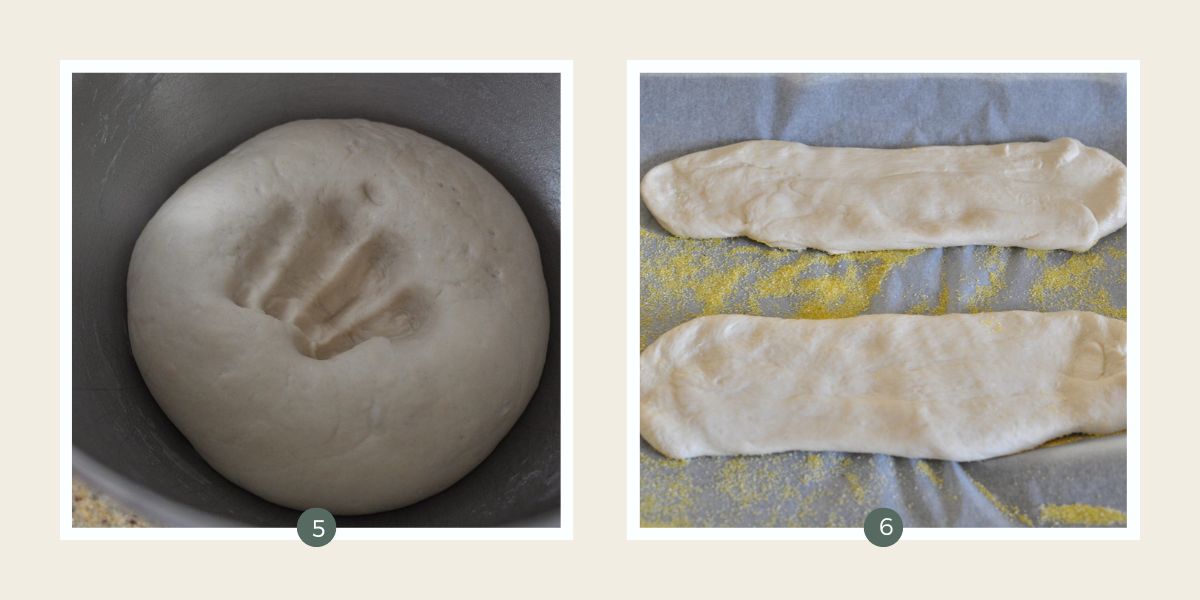 Ball of dough with punch mark in it and shaped Turkish Loaves on lined baking tray. 
