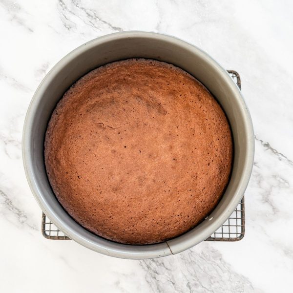 Baked flourless chocolate cake cooling in the tin