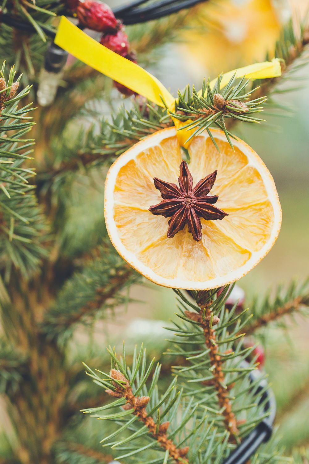 Orange and star anise Christmas decoration using dehydrated sliced oranges