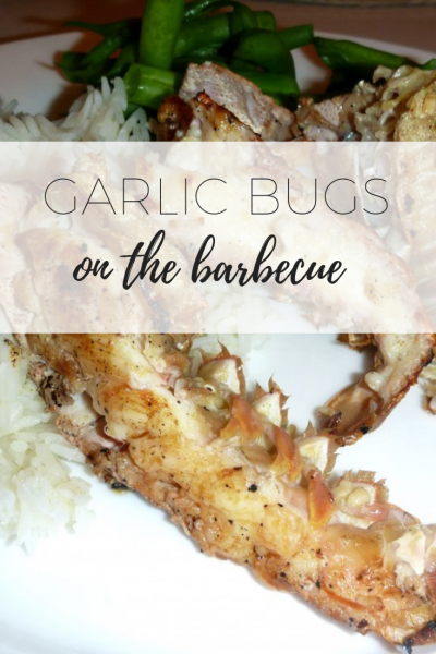 Garlic bugs on the barbecue via www.clairekcreations.com
