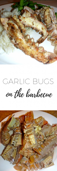 Garlic bugs on the barbecue via www.clairekcreations.com