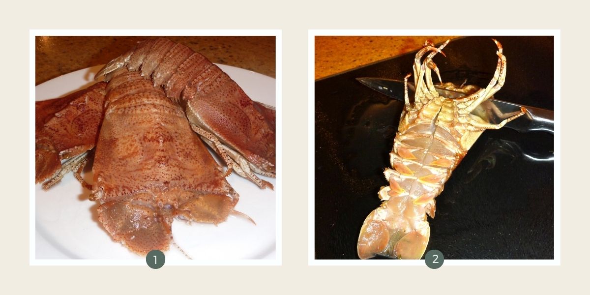 Moreton bay bugs on a plate and having their heads removed with a knife.